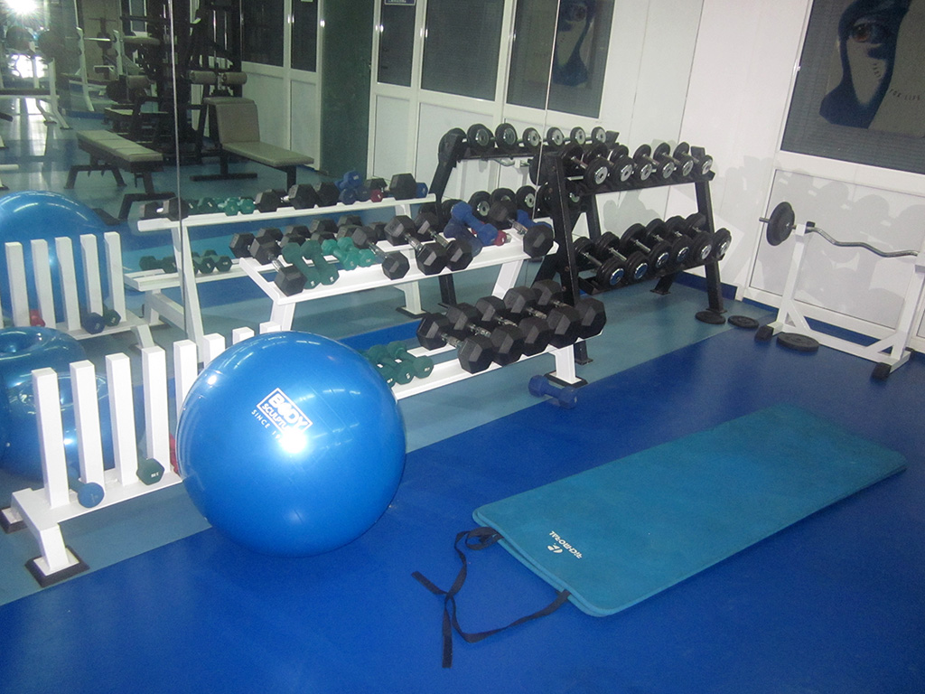 Musculation