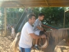 DSCF0034