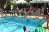 SAM_9911