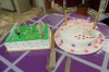 SAM_0166