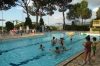 SAM_0412