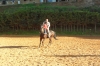 SAM_0662