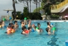 SAM_2234