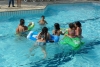 SAM_2381