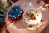 SAM_2422