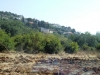 CIMG6485