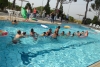 SAM_2626