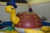 SAM_2757