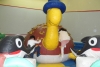 SAM_2759