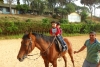 SAM_3544