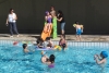 SAM_3722
