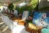 SAM_3751
