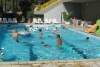 SAM_3861