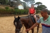 SAM_4031