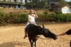 SAM_4067