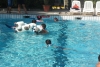 SAM_4124