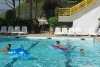 SAM_4184