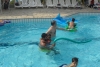SAM_4254