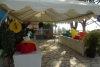 SAM_4356