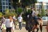 SAM_4604