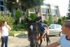 SAM_4609