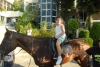 SAM_4613
