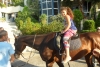 SAM_4619