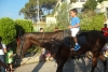 SAM_4620