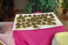 SAM_4646