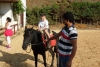 SAM_6226