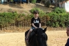 SAM_6229