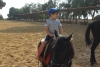 SAM_6232