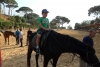 SAM_6241