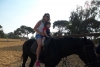 SAM_6247
