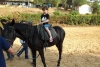 SAM_6248