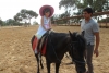 SAM_6494