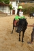 SAM_6519