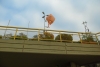 SAM_6548