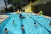 SAM_6327