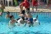 SAM_6382