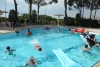SAM_6388