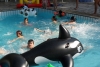 SAM_6566