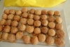 SAM_6675_1