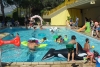 SAM_6826