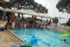 SAM_7382