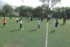 SAM_9125
