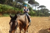 SAM_9402