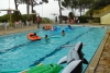 SAM_0963