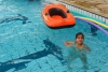 SAM_1244
