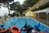SAM_1564